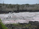 viventura Galapagosinseln