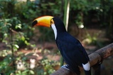 viventura