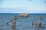 viventura