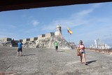 viventura