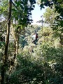 viventura Bergnebelwald
