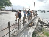 viventura
