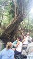 viventura Amazonas