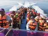viventura