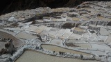 Viventura