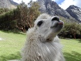Viventura Cuzco