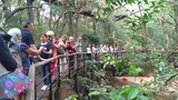 viventura Paraty