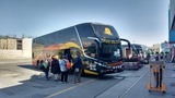 viventura