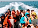 viventura