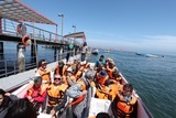Viventura
