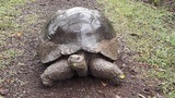 viventura Galapagosinseln