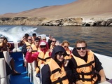 viventura Ballestas Inseln