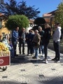 Viventura