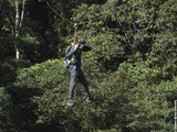 viventura Bergnebelwald