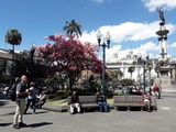 viventura