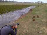 viventura Pantanal