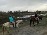 viventura Pantanal