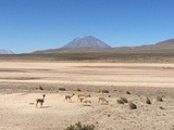 viventura Colca Canyon