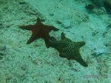 viventura Galapagosinseln