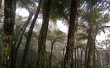 viventura Samaipata