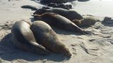viventura Galapagosinseln