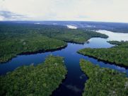 viventura Manaus Amazon overview