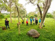 viventura Insel Santa Cruz ecuador export for tourcert galapagos turtle turtoise vivideo 892 - Visiting a Ranch with Giant Turtles on Santa Cruz, Galapagos