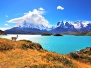 viventura Torres del Paine