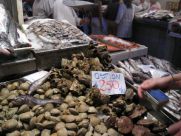 viventura Santiago Fischmarkt in Santiago