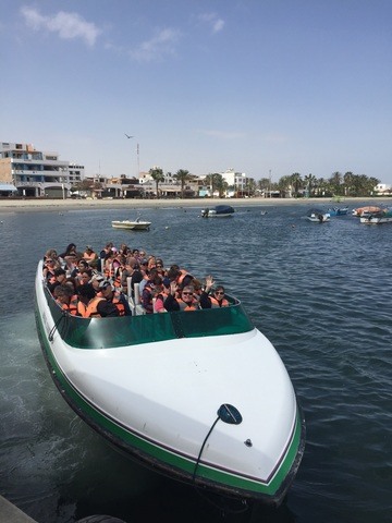 viventura Pisco