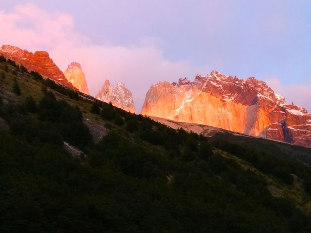 viventura