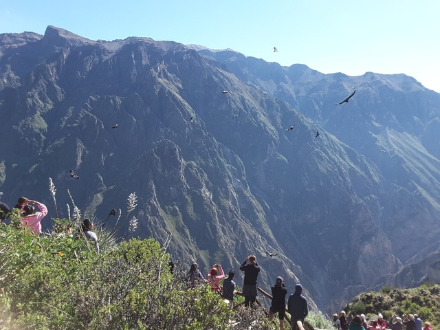 Viventura Canyon du Colca