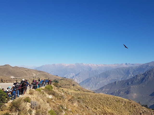 viventura Colca Canyon