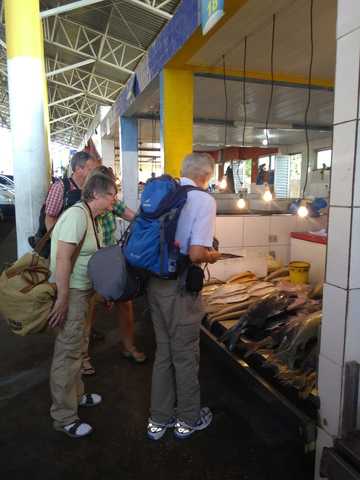 viventura Manaus