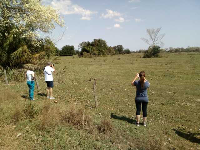 viventura Pantanal