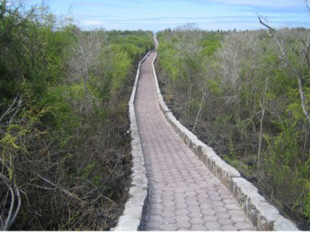 viventura Puerto Ayora