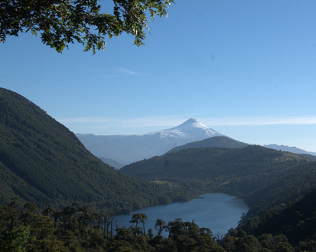lago.villarica.bird.brain.flickr lago.villarica.bird.brain.flickr